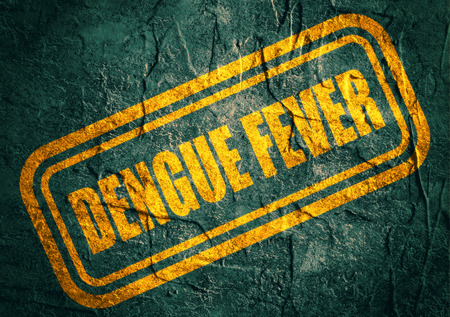 Stamp with dengue fever text over concrete textured background. Medical science relative themeの写真素材