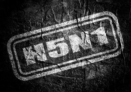 Stamp with h5n1 text over concrete textured background. Medical science relative themeの写真素材