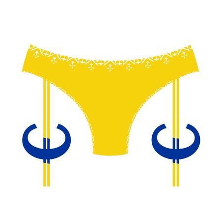 Lingerie icon simple.のイラスト素材