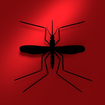 Virus diseases transmitter. Mosquito silhouette. 3D renderingの写真素材
