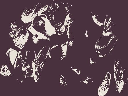 Monochrome image. Grunge distress texture. Vector templateのイラスト素材