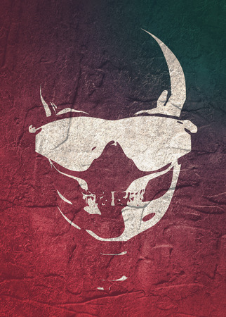 Anatomic skull in sunglasses. Detailed illustration of human skull. Grunge distress texture.の写真素材