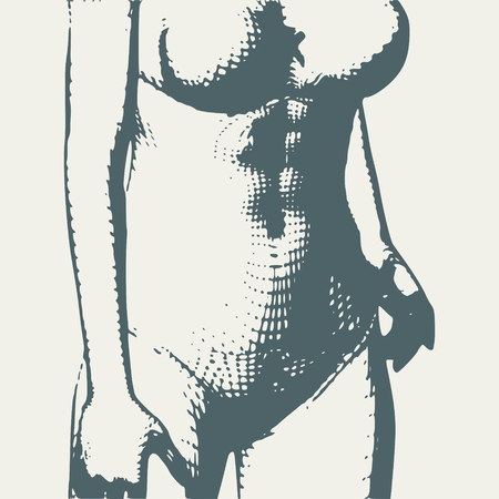 Beautiful sexy fitness girl. Pretty woman wearing lingerie. Front view. Vintage engraved illustrationのイラスト素材
