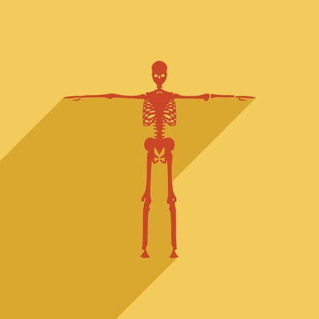 Human skeleton standing. Halloween party design template. Web icon with long shadowのイラスト素材