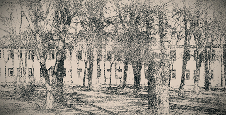 City park. Vintage photo imitation. Grain noise effectの写真素材