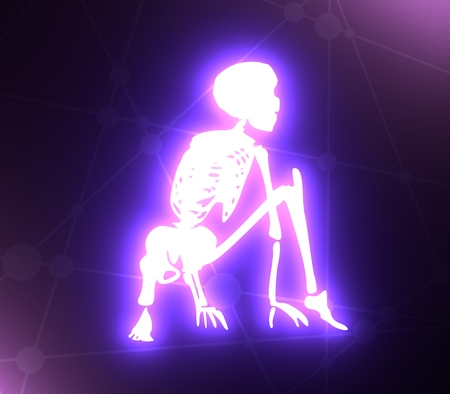 Human skeleton posing. Ready to jump. 3D rendering. Halloween party design templateの写真素材