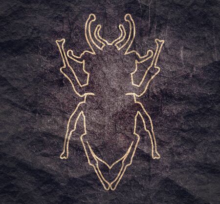 Abstract insect illustration