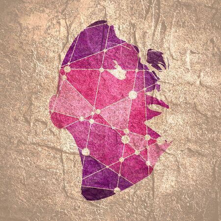 Face front view. Elegant silhouette of a female head. Portrait of a happy smiled woman. Molecule and communication background. Connected lines with dots.の写真素材