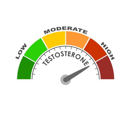 Hormone testosterone level measuring scale. Health care concept illustration.の写真素材