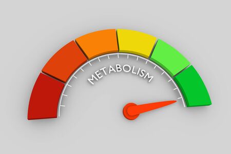 Metabolism level scale with arrow. The measuring device icon. Sign tachometer, speedometer, indicators. Infographic gauge element. 3D renderingの写真素材