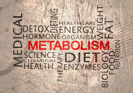Tags cloud of metabolism. Words collage. Infographic illustrationの写真素材