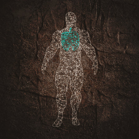 Bodybuilder silhouette. Icon of the posing athlete. Molecule and communication style icon. Connected lines with dots. Respiratory systemの写真素材