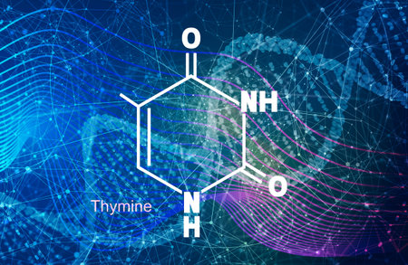 Structural formula of thymine molecule. Medicine conceptの写真素材
