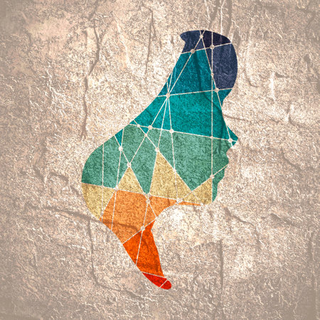 Face profile view. Elegant silhouette of a female head.の写真素材