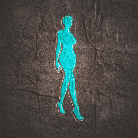 Front view human body silhouette of an adult femaleの写真素材