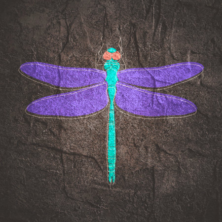 Dragonfly sign for branding identity. Outline iconの写真素材