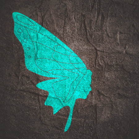 A butterfly wing and waman face profile view. Optical illusion.の写真素材