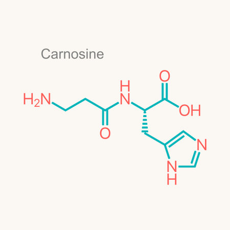 Chemical molecular formula of carnosine. Infographics illustration.