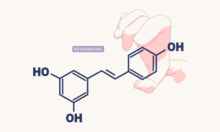 Chemical structural formula of Resveratrol.のイラスト素材