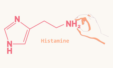 Infographics illustration. Hand holding formula of histamine.のイラスト素材