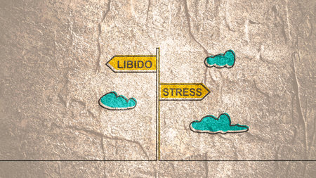 Effect of stress on sexual desire conceptの写真素材