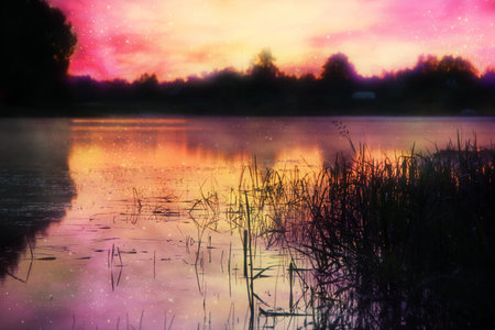 Grass and stars reflected in the riverの写真素材