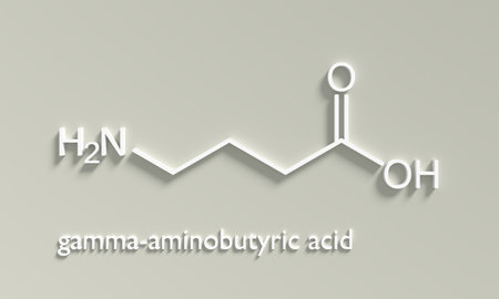 gamma Aminobutyric acid. Infographics illustration. 3D rendering.の写真素材