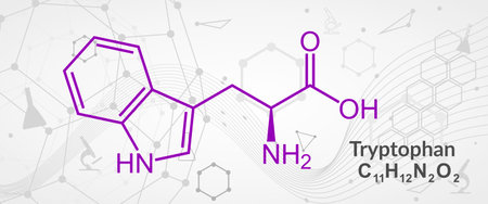 Chemical formula of tryptophan. Infographics illustration.のイラスト素材
