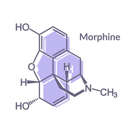 Chemical formula of morphine. Infographics illustration.のイラスト素材