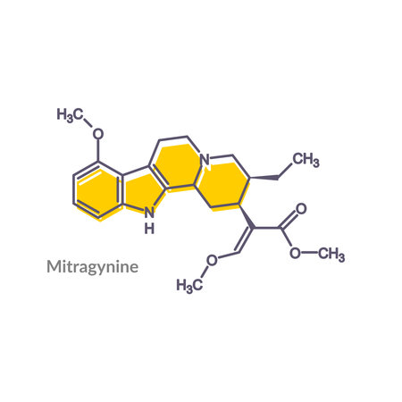 Chemical formula of mitragynine. Infographics illustration.のイラスト素材