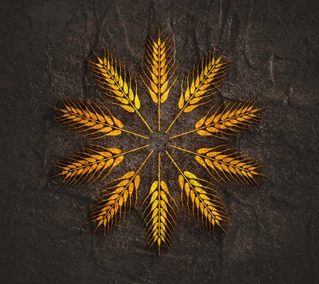 Circle of ripe wheat radial rays. Agricultural concept.の写真素材