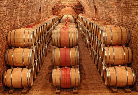Wine Barrels in a row