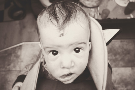 Baby in a carrierの写真素材