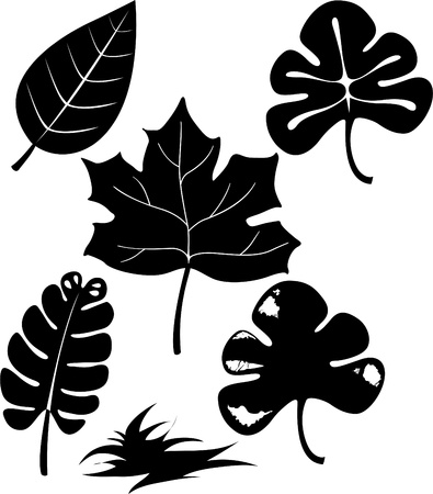 Illustration collection Leafのイラスト素材