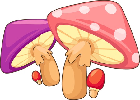 illustration mushroomのイラスト素材