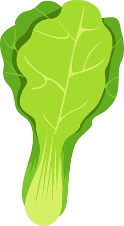 illustration vegetablesのイラスト素材