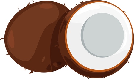 Coconut shell のイラスト素材