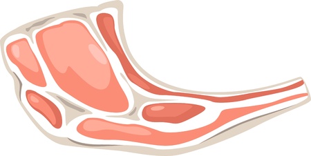 meat isolated vector illustrationのイラスト素材