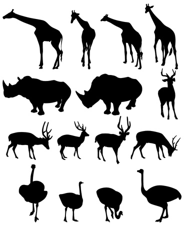 illustration of isolated giraffe,rhinoceros,deer,ostrich  vectorのイラスト素材