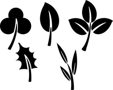 black  leaves  Vector illustration   on white backgroundのイラスト素材