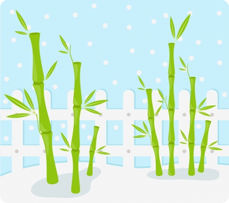 bamboo Background illustrationのイラスト素材