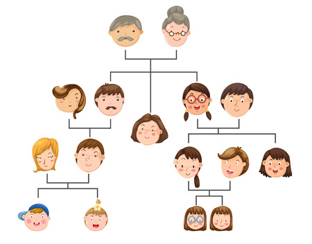 Family treeのイラスト素材