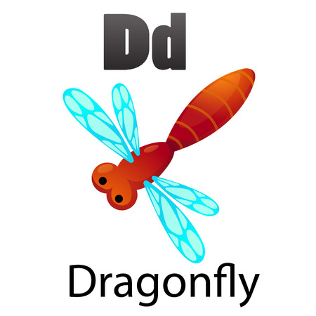 Alphabet D with Dragonflyのイラスト素材