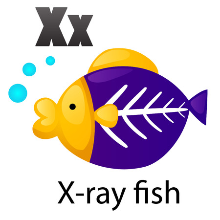 Alphabet X with X-ray fishのイラスト素材
