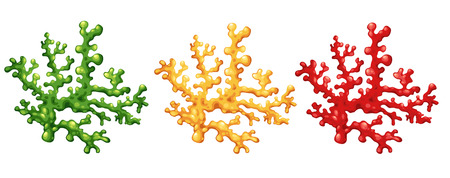 Illustration of a coral vectorのイラスト素材