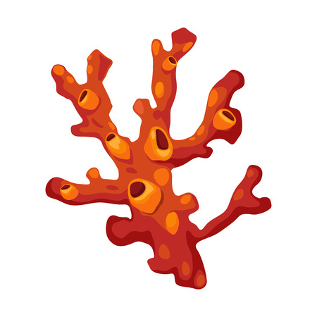 Illustration of a coral vectorのイラスト素材