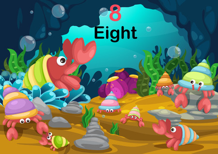 Illustration of number eight hermit crab under the sea のイラスト素材