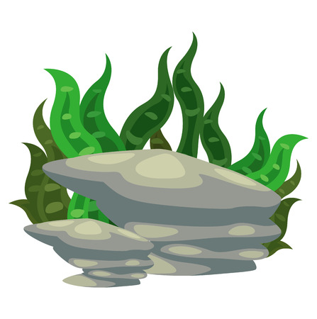 Illustration of a seaweed with stone vectorのイラスト素材