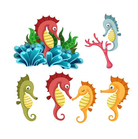 Illustrator of isolated sea horse vectorのイラスト素材