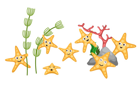 Illustrator of isolated starfish vectorのイラスト素材